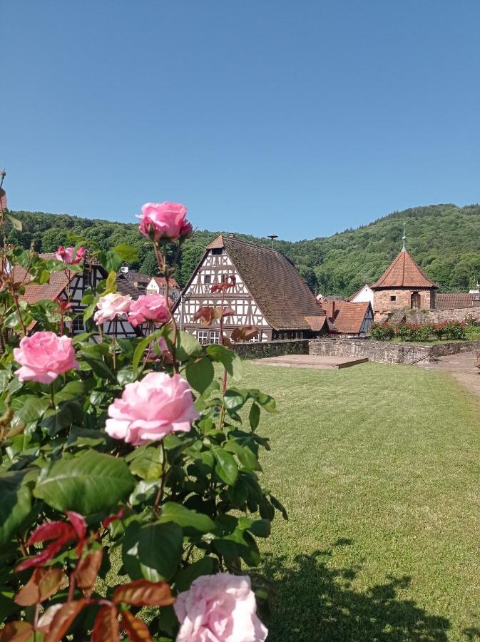 Gaestehaus Hoffmann Dörrenbach Buitenkant foto