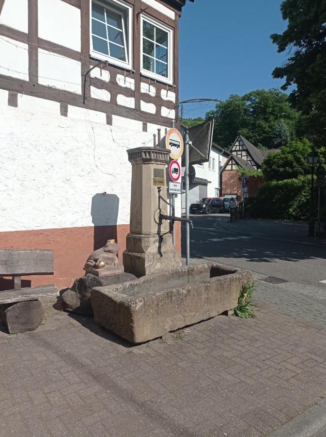 Gaestehaus Hoffmann Dörrenbach Buitenkant foto
